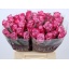 product/img.ozexport.nl/RDEEP4-LIVE_fotos-0xA6258FA6B94C4B0E8EFFFC582242BF32C2284D5B.jpg