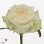 product/img.ozexport.nl/RDOL7-ART_fotos-VBN100000-vbn103668.jpg