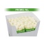 product/img.ozexport.nl/RDOL7-LIVE_fotos-0x3F5C50C02BCED325D2AFA48E78683C93FAC39B2A.jpg