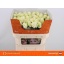 product/img.ozexport.nl/RDOL7-LIVE_fotos-0x4299C02EC75189D9BCCF62237D53753C1D2BF055.jpg