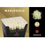product/img.ozexport.nl/RDOL7-LIVE_fotos-0x45C4A81DBDD75B82FB9B8FCBB00F75054F5B3CB0.jpg