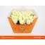 product/img.ozexport.nl/RDOL7-LIVE_fotos-0xC077B6A3CC45EAB4F9BC1A3D1D62F728D9719124.jpg