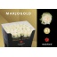 product/img.ozexport.nl/RDOL7-LIVE_fotos-0xF366C2DE5F9CCC130ADBB1A331238B9AE9BE08EC.jpg