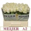 product/img.ozexport.nl/RFOU55-LIVE_fotos-0x69290ECC2FA585A7382341846BF45D92D53C1BBC.jpg