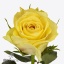 product/img.ozexport.nl/RGOL5-ART_fotos-vbn120000-vbn120135.jpg
