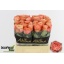 product/img.ozexport.nl/RKAH4-LIVE_fotos-0xEBB0A027DAAB5F7678A007F25A30A9901A4286FA.jpg
