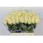 product/img.ozexport.nl/RMAGA4-LIVE_fotos-0xAE17D96CB4365FA9EB2D9D4C7AF2E16163B41E03.jpg