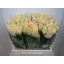 product/img.ozexport.nl/RMAGA4-LIVE_fotos-0xDCB2879D5006AC0FA32C52E6C30202ED7FF8F6B1.jpg