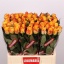 product/img.ozexport.nl/RMAR6C-LIVE_fotos-0x46ABE2F2156A30A4F056755DC4CE8913FA9D8FAD.jpg