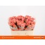 product/img.ozexport.nl/RMIS5-LIVE_fotos-0xCB607DAB73D15F4A691A2EE0B00D45F99B306D16.jpg