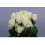 product/img.ozexport.nl/RPLAB5-LIVE_fotos-0x46C0D226F78B8758BDA8A19232AEE6ADE780EDAA.jpg