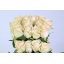 product/img.ozexport.nl/RPLAB5-LIVE_fotos-0xAB3EFA38E7F3EEC1718A9DD5983695A8A0BBBCE5.jpg