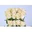 product/img.ozexport.nl/RPLAB5-LIVE_fotos-0xDF551597EE870A02B86F2796D63D87090F97334B.jpg