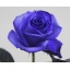 product/img.ozexport.nl/RVEN7BRO-ASSORTI_fotos-MCF-MCF Rosa gr vrf blauw vendela.JPG