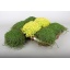 product/img.ozexport.nl/SOL11-LIVE_fotos-0xF8B6805CE5C15DDD40D9B83276690BD4DA625809.jpg