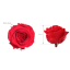 04-rosa-premium-dimensiones.png