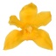 CYM1350-01-orquidea.jpg