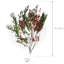 PPF9103-3-arbol-pimienta.png