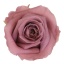 RME3480-01-rosa-medium.jpg