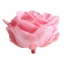 RSG2420-02-rosa-premium.jpg