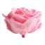 RSG2420-02-rosa-premium.jpg