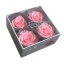 RSG2420-03-rosa-premium.jpg