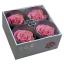 RSG2480-03-rosa-premium.jpg