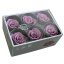RST283G-03-rosa-standard.jpg