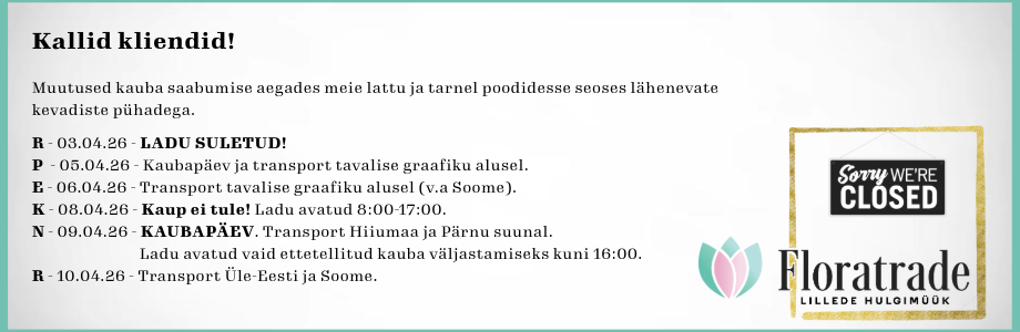 SuurReede26.png (108 KB)