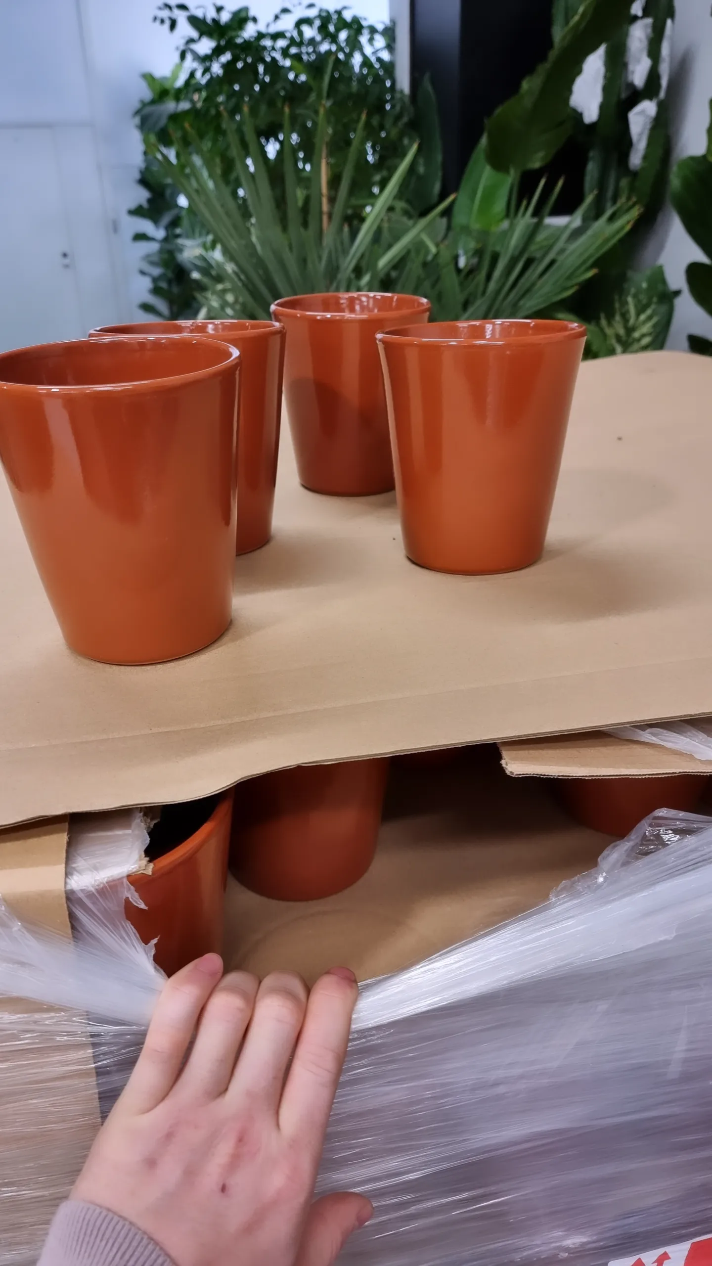 Cer Pot Orhideepott 13cm