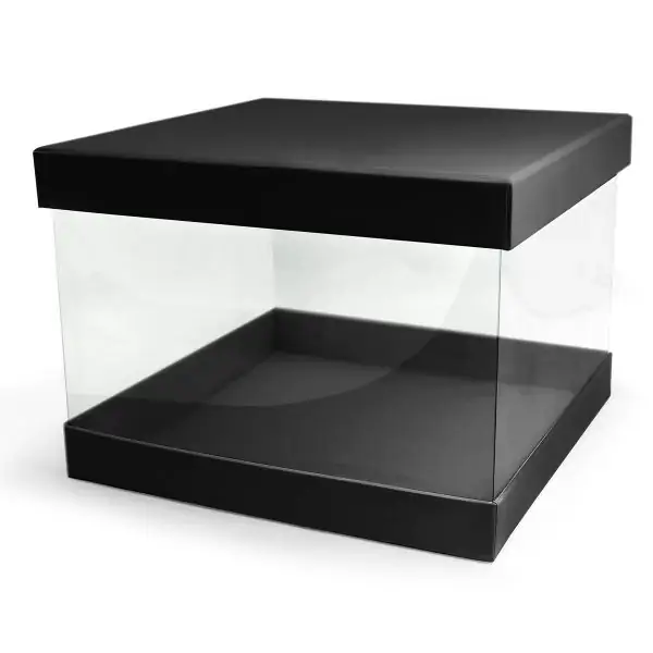 Pandore Box Transparent Square Black (21x21x15cm & 18x18x13cm) 2TK