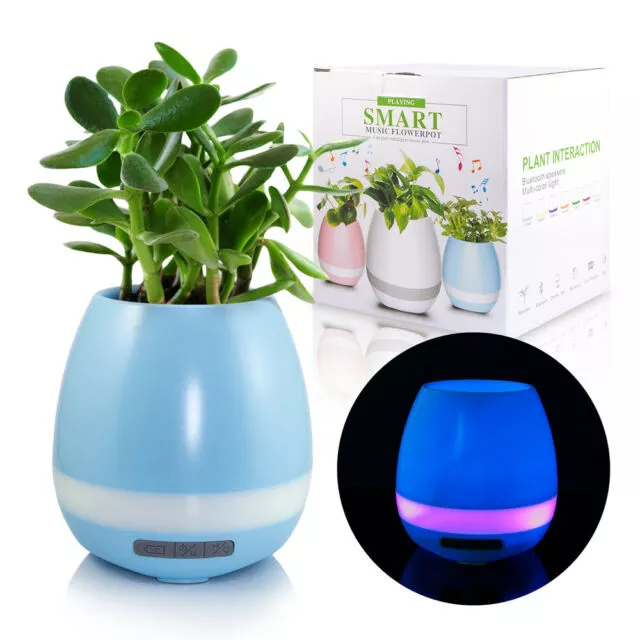 Flowerpot music